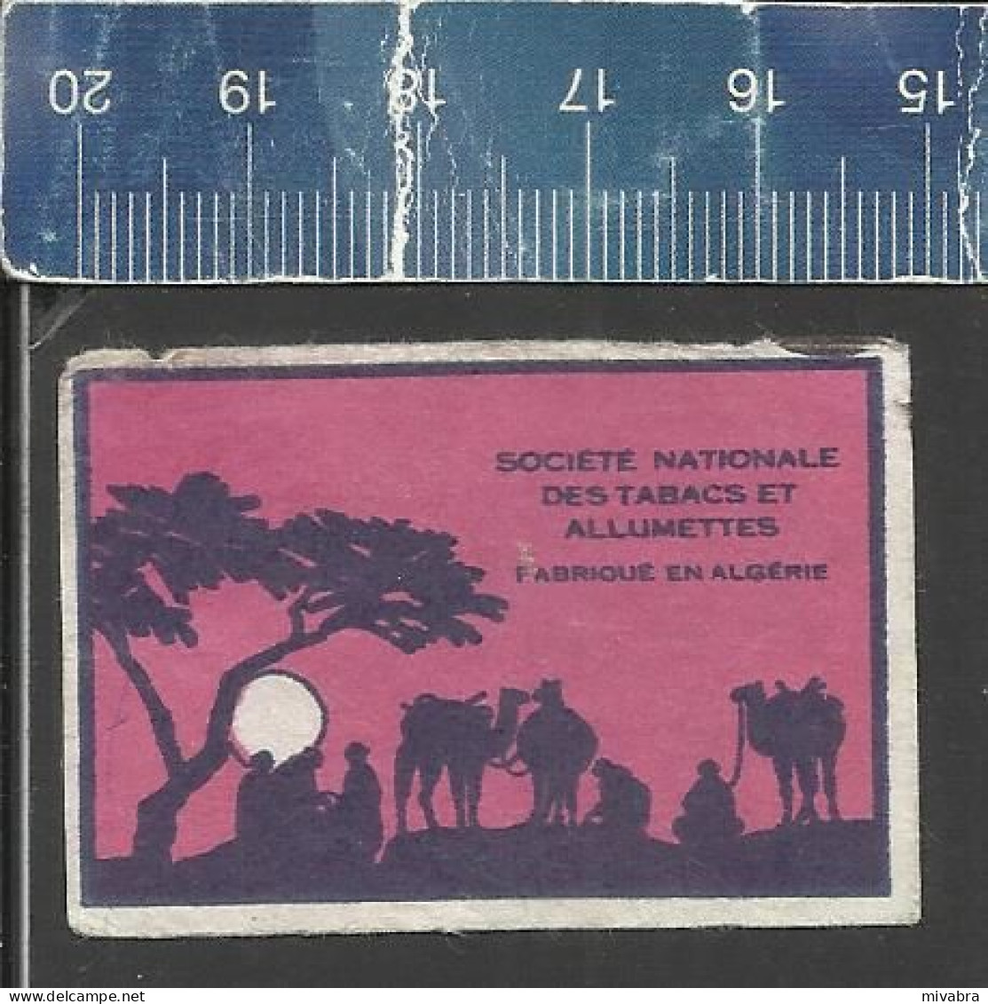 SUNSET WITH CARAVAN & CAMELS (WHITE SUN) - OLD MATCHBOX LABEL ALGERIA - Scatole Di Fiammiferi - Etichette