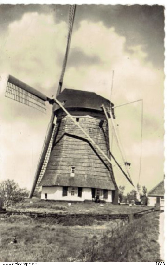 HOLLANDE  Moulin à Vent   KINDERDIJK - Mulini A Vento