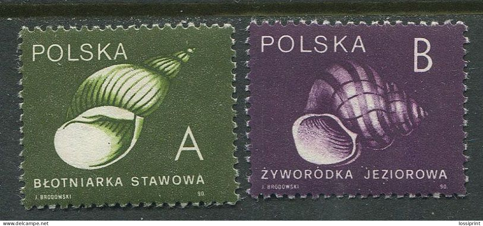 Poland:Unused Stamps Serie Sea Shells, 1990, MNH - Coneshells