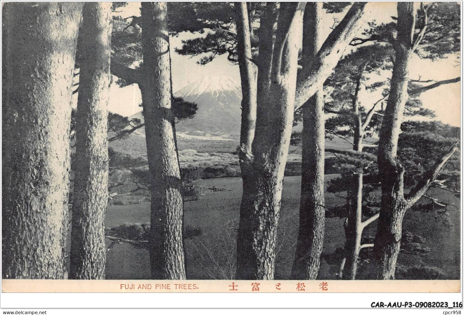 CAR-AAUP3-0205 - JAPON - FUJI ANS PINE TREES - Other & Unclassified