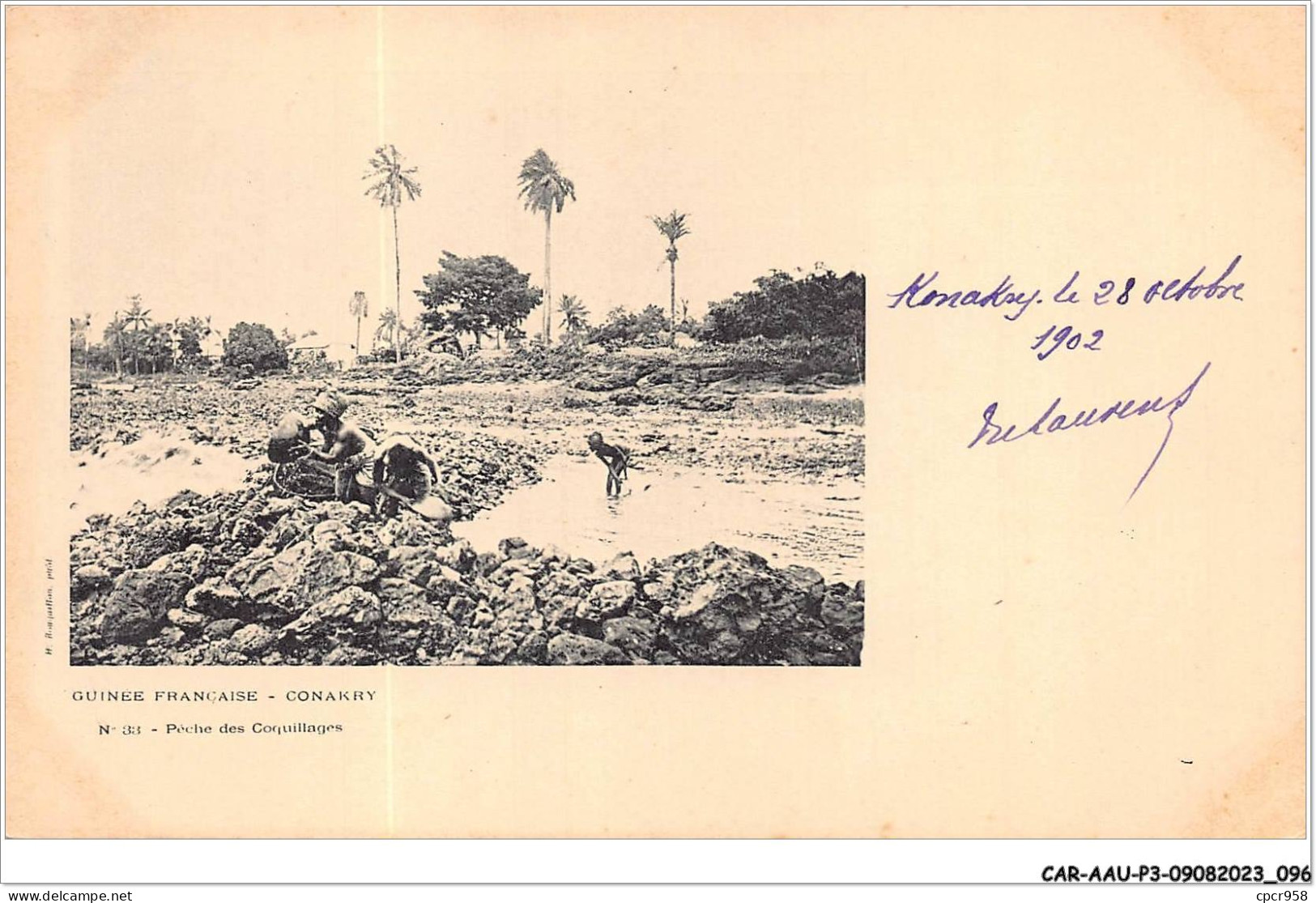 CAR-AAUP3-0195 - GUINEE - GUINEE FRANCAISE - CONAKRY - Peche Des Coquillages - Französisch-Guinea