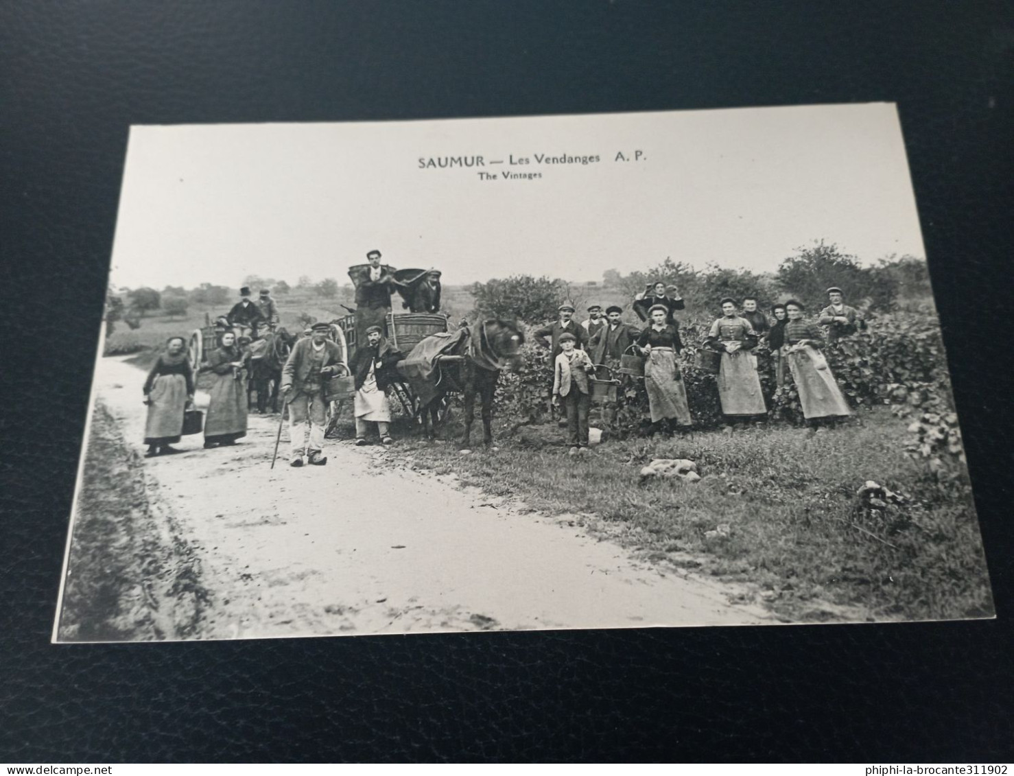 B1/229- Les Vendanges - Saumur