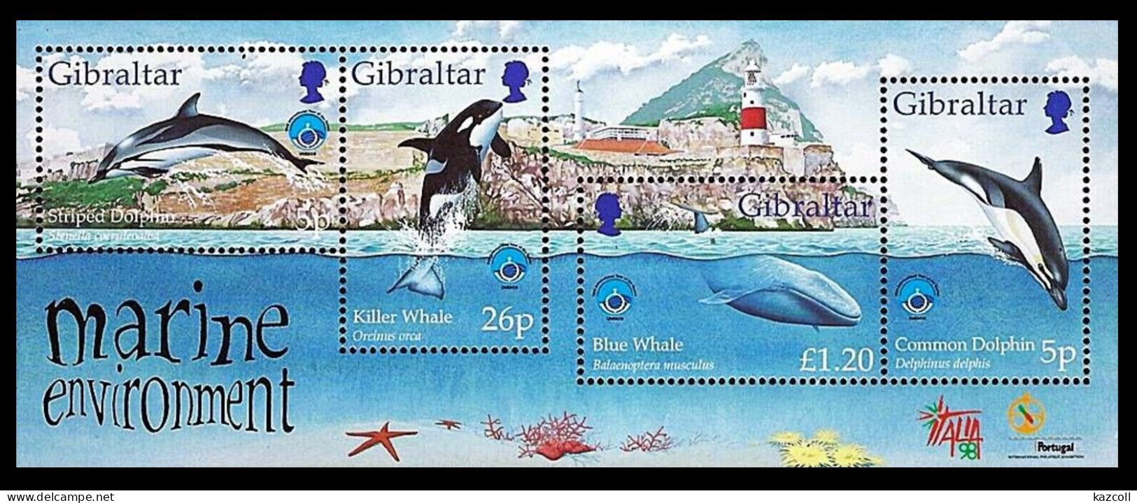 Gibraltar 1998. Marine Environment. Marine Fauna. Dolphins. - Gibilterra