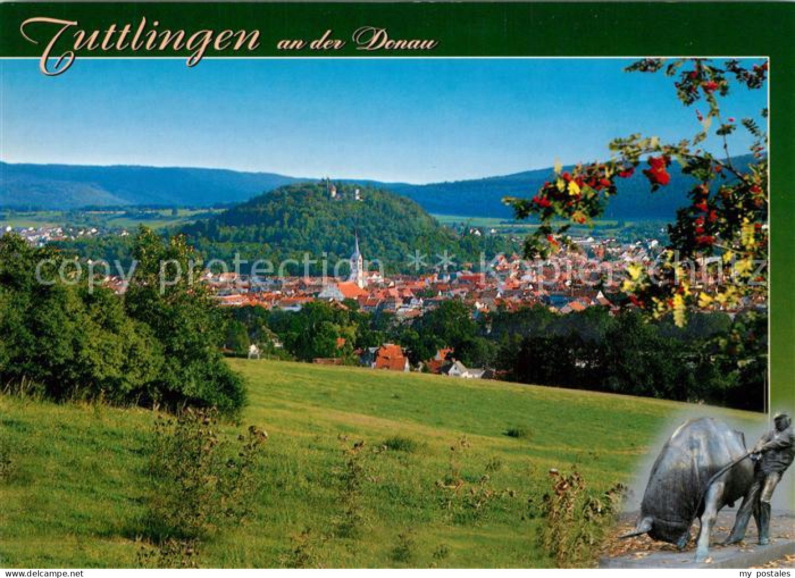 73269409 Tuttlingen Panorama Burg Tuttlingen - Tuttlingen