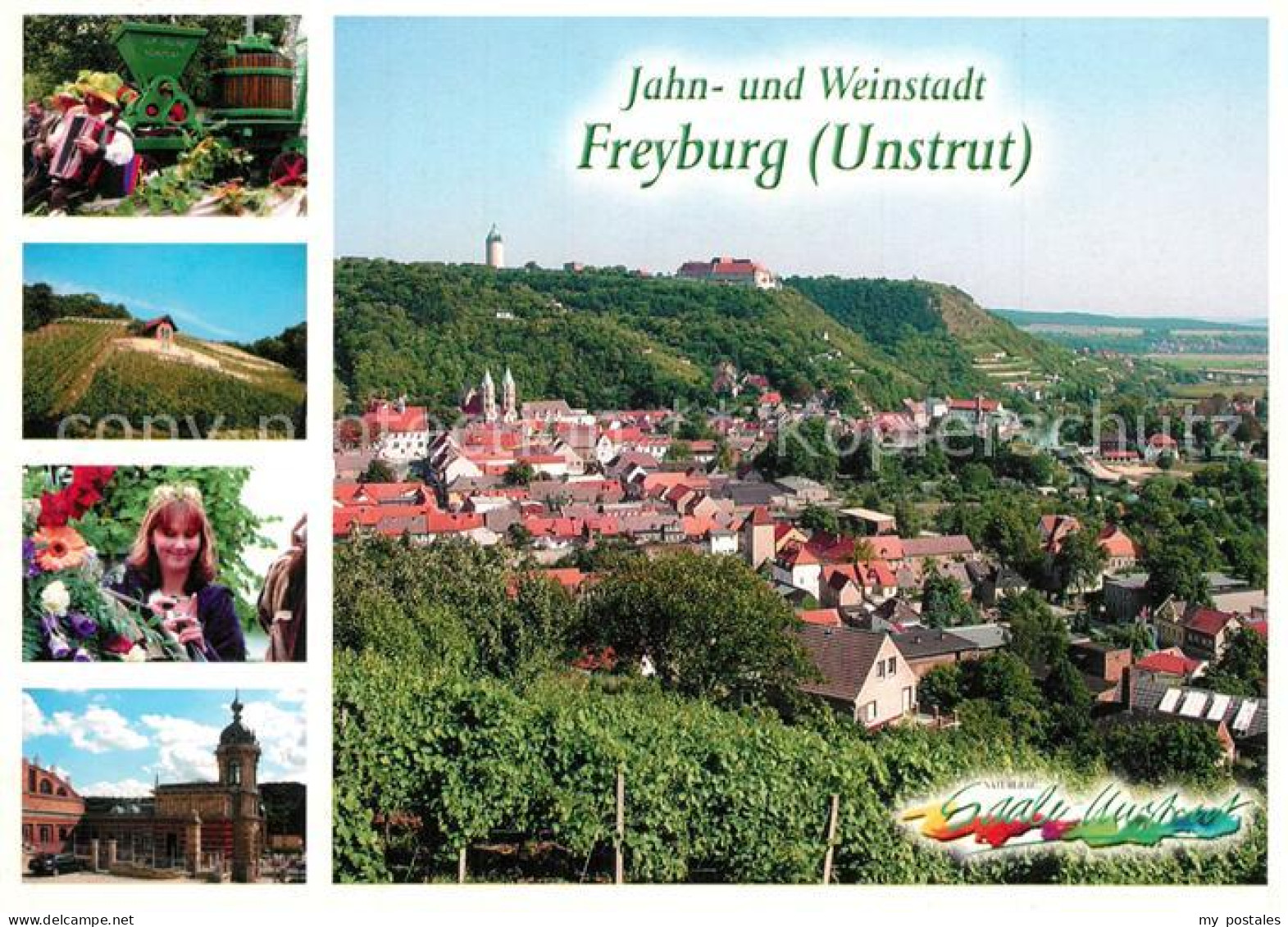 73269300 Freyburg Unstrut Stadtpanorama Festumzug Winzerfest Schlifterberg Weink - Freyburg A. D. Unstrut