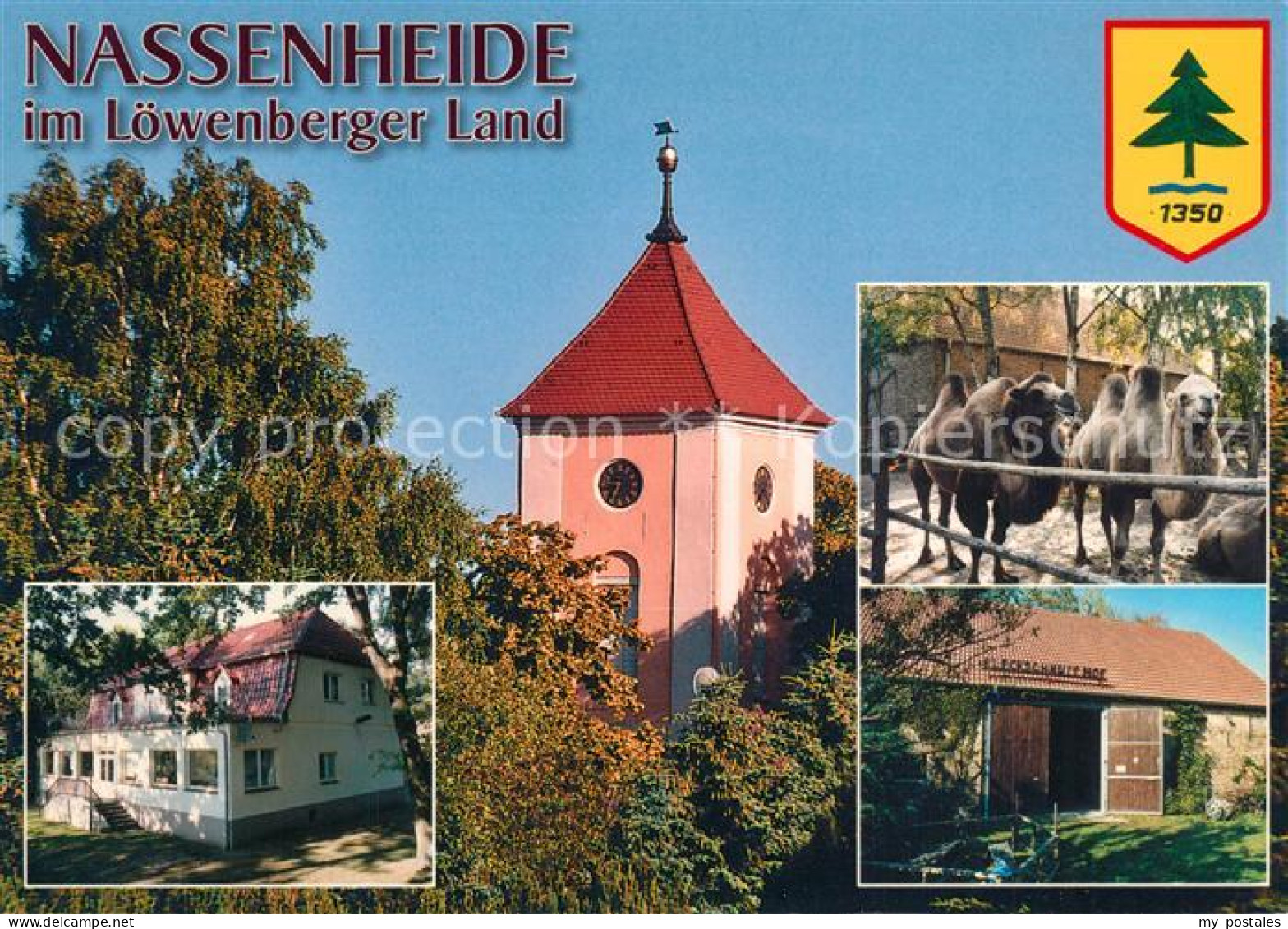 73269295 Nassenheide Dorfkirche Kamele Fleckschnupphof Kindergaestehaus Der GFJ  - Otros & Sin Clasificación