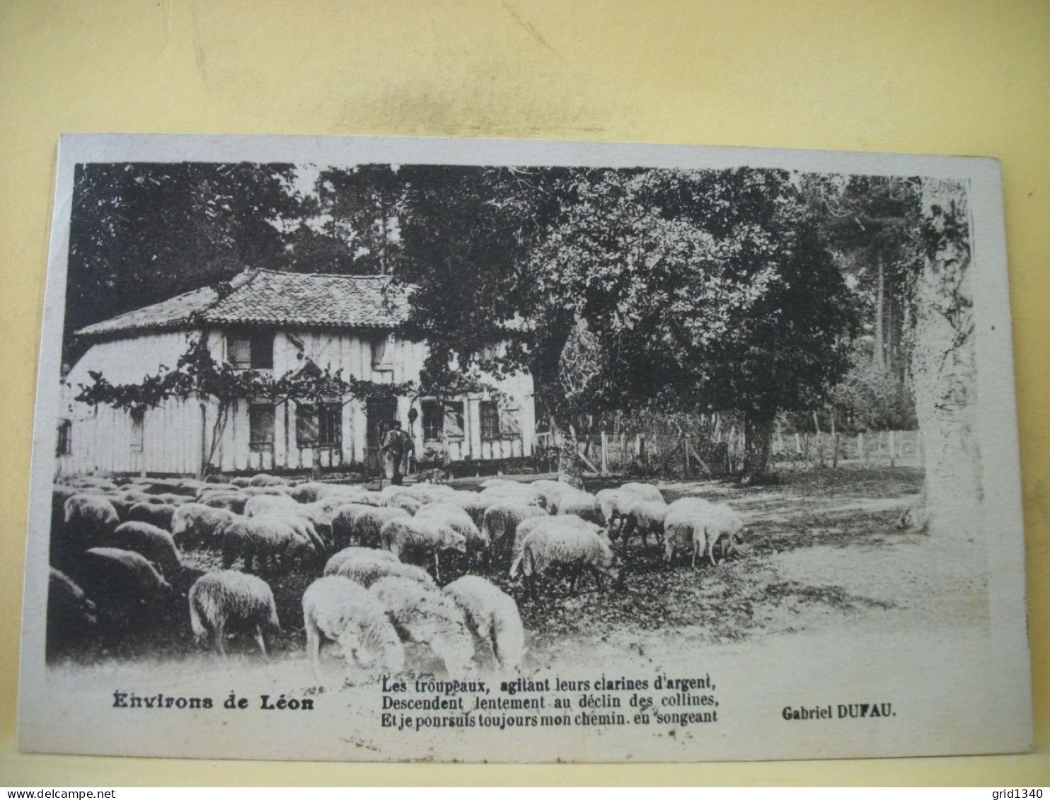 40 4494 CPA 1930 - ENVIRONS DE LEON - POEME DE GABRIEL DUFAU - ANIMATION. TROUPEAU DE BREBIS ET BERGER - Breeding