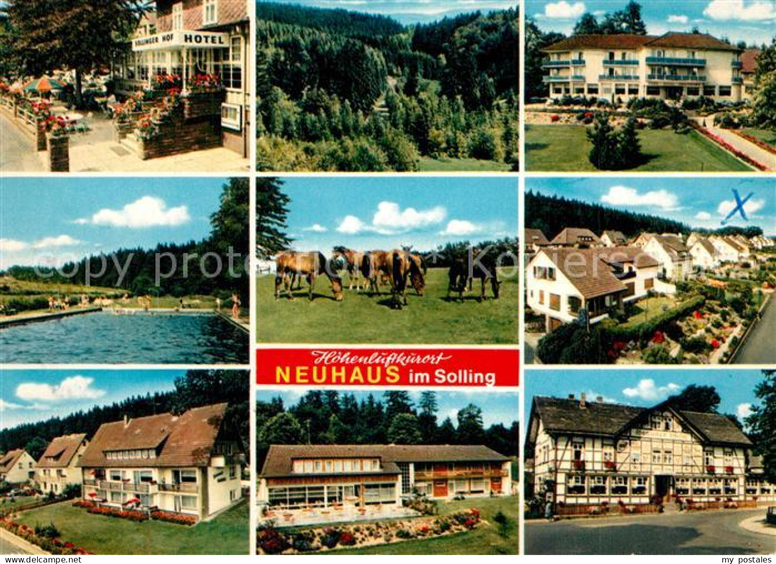 73269045 Neuhaus Solling Hotel Restaurant Wohnsiedlung Pferdekoppel Wald Neuhaus - Holzminden