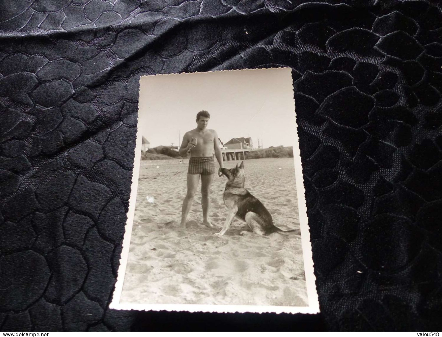 P-143 , Photo Animal , Chien Berger Allemand Assis Sur La Plage Et Son Maître En Maillot De Bains, Circa 1940 - Andere & Zonder Classificatie