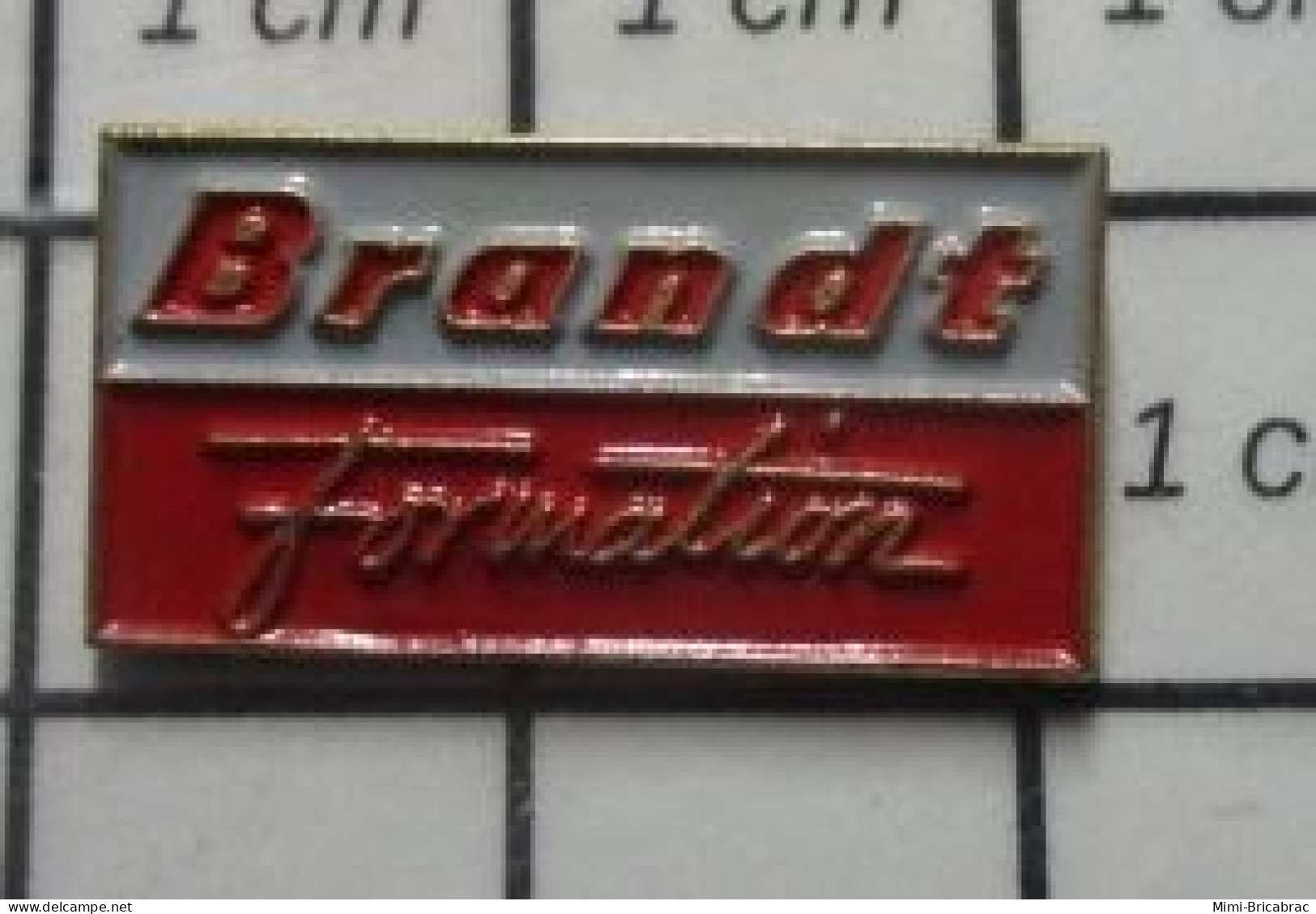 412c Pin's Pins / Beau Et Rare / MARQUES / BRANDT FORMATION - Marche