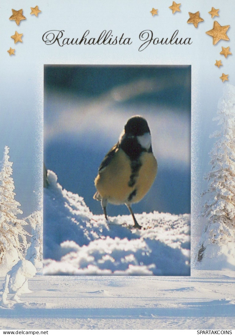 VOGEL Tier Vintage Ansichtskarte Postkarte CPSM #PAN024.DE - Oiseaux