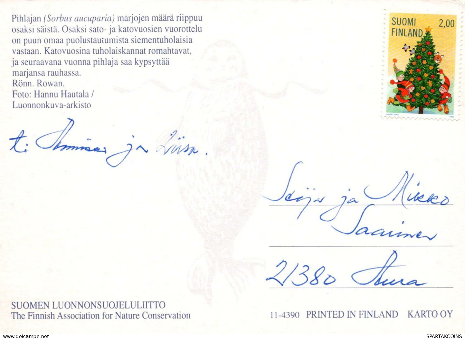 FLORES Vintage Tarjeta Postal CPSM #PAS364.ES - Flores