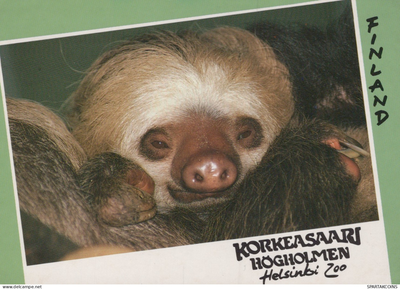 MONO Animales Vintage Tarjeta Postal CPSM #PAN980.ES - Scimmie
