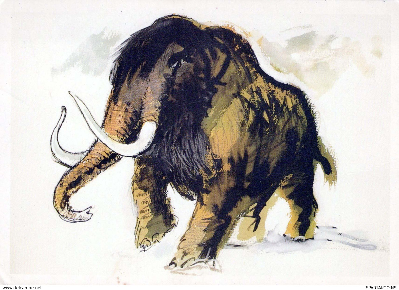 ÉLÉPHANT Animaux Vintage Carte Postale CPSM #PBS757.FR - Elefanti