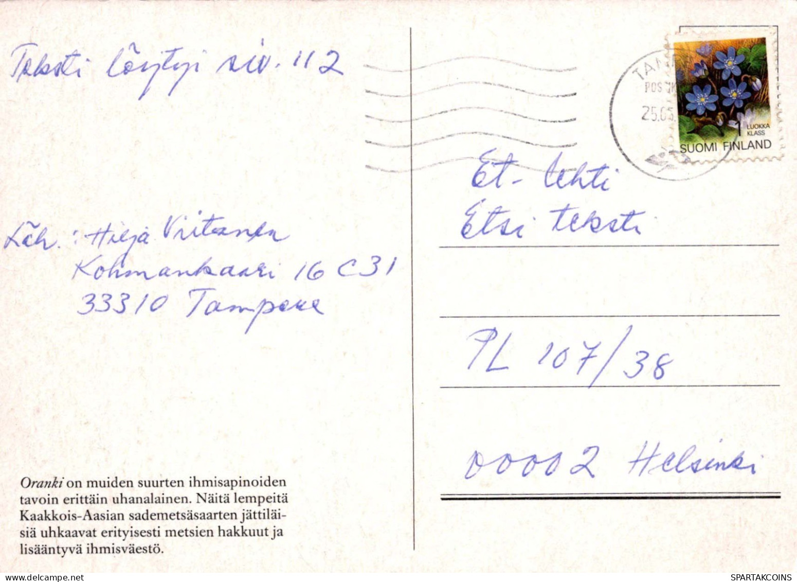 SINGE Animaux Vintage Carte Postale CPSM #PBR992.FR - Affen