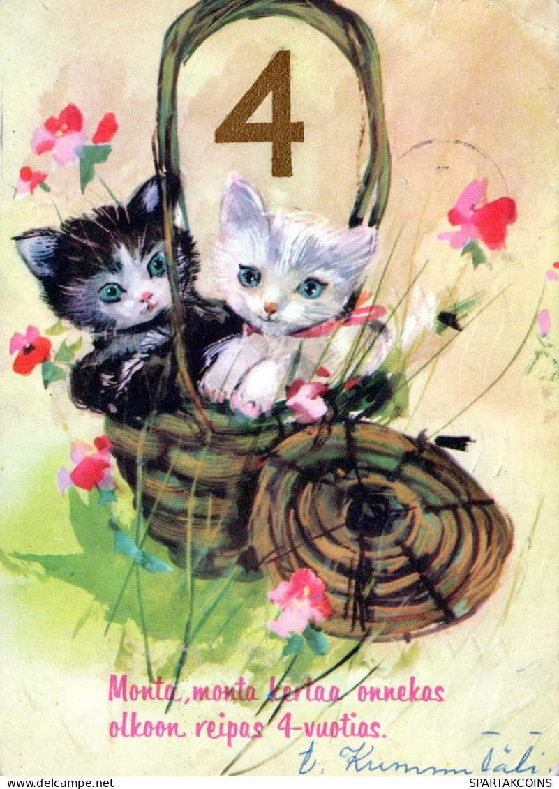 CHAT CHAT Animaux Vintage Carte Postale CPSM #PBQ869.FR - Chats