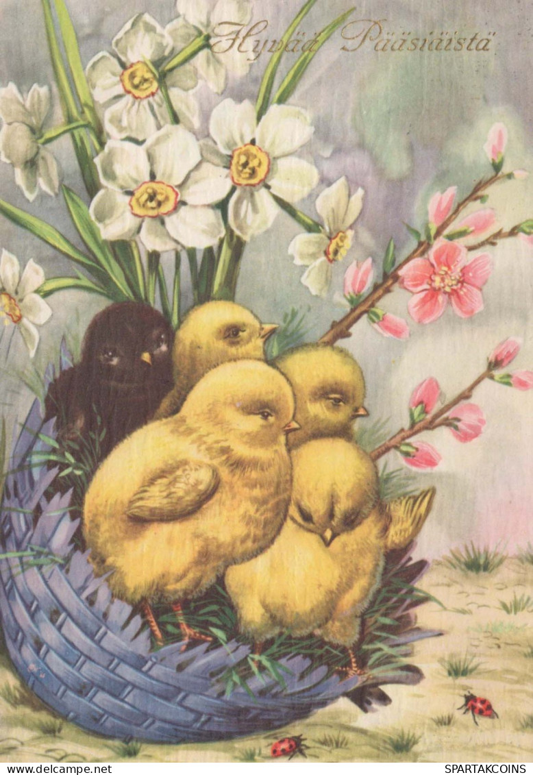 PÂQUES POULET ŒUF Vintage Carte Postale CPSM #PBP139.FR - Easter