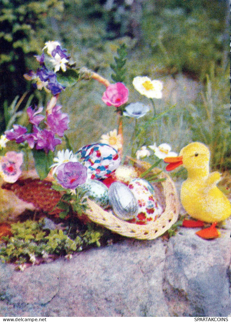 PÂQUES POULET ŒUF Vintage Carte Postale CPSM #PBP016.FR - Easter