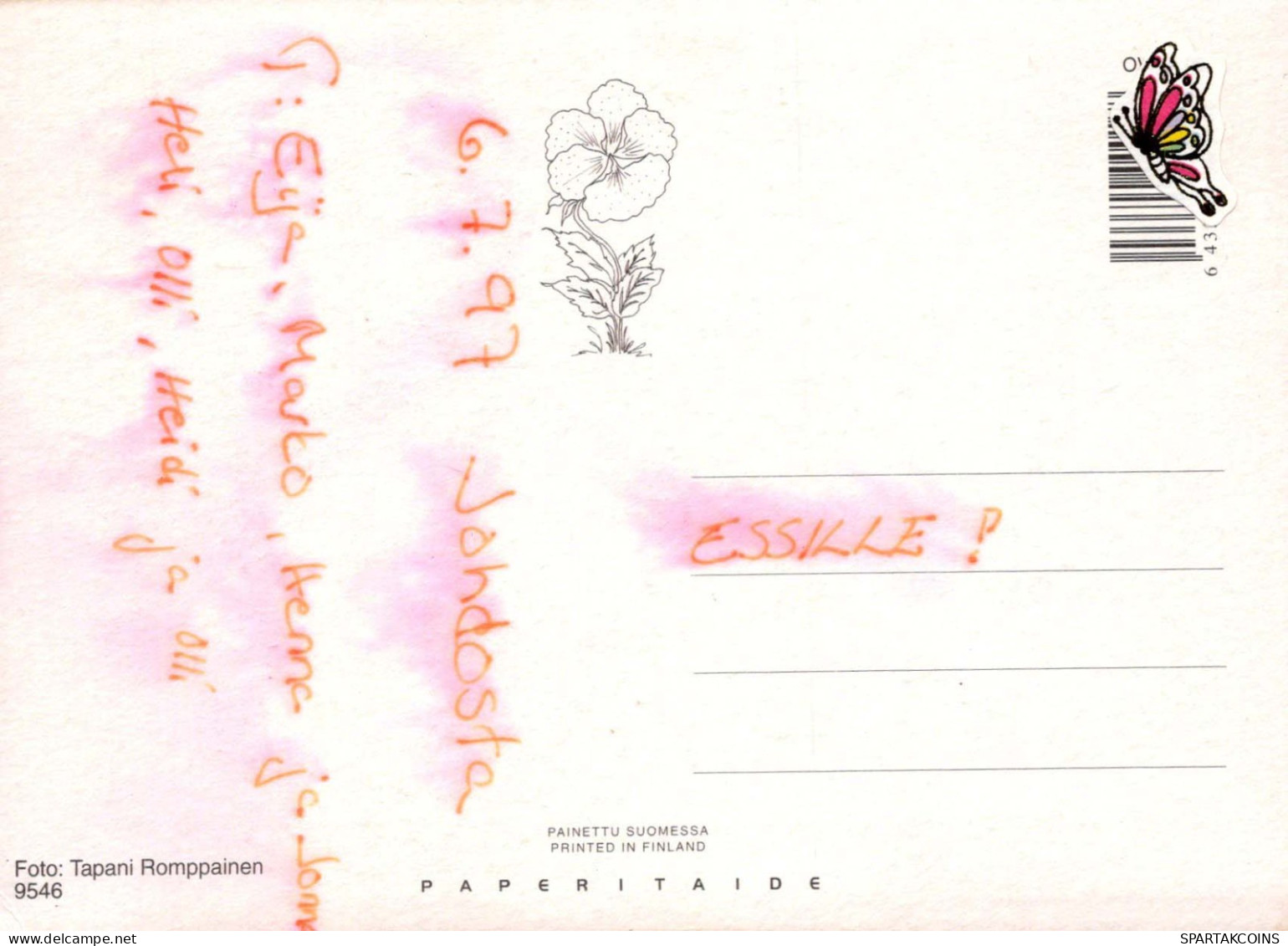 FLEURS Vintage Carte Postale CPSM #PAS669.FR - Fleurs