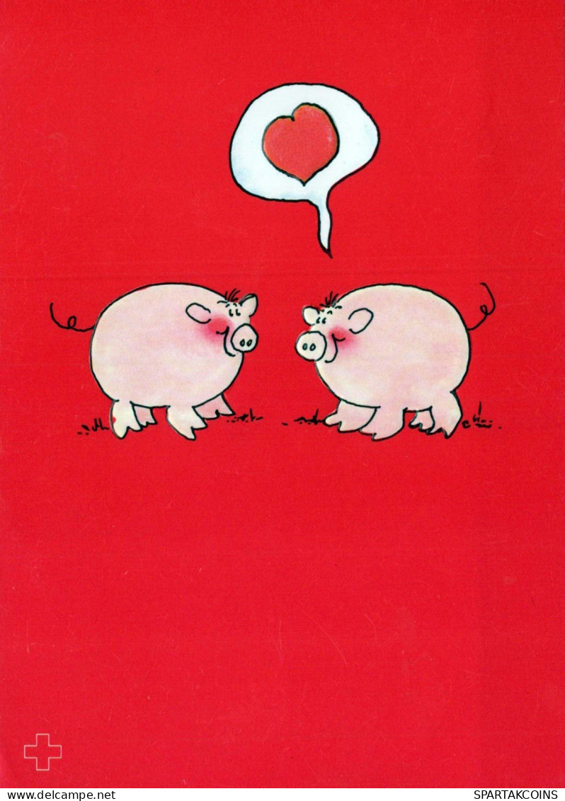 PIGS Animals Vintage Postcard CPSM #PBR773.GB - Schweine