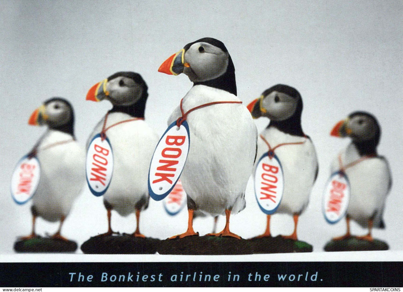 BIRD Animals Vintage Postcard CPSM #PBR712.GB - Oiseaux