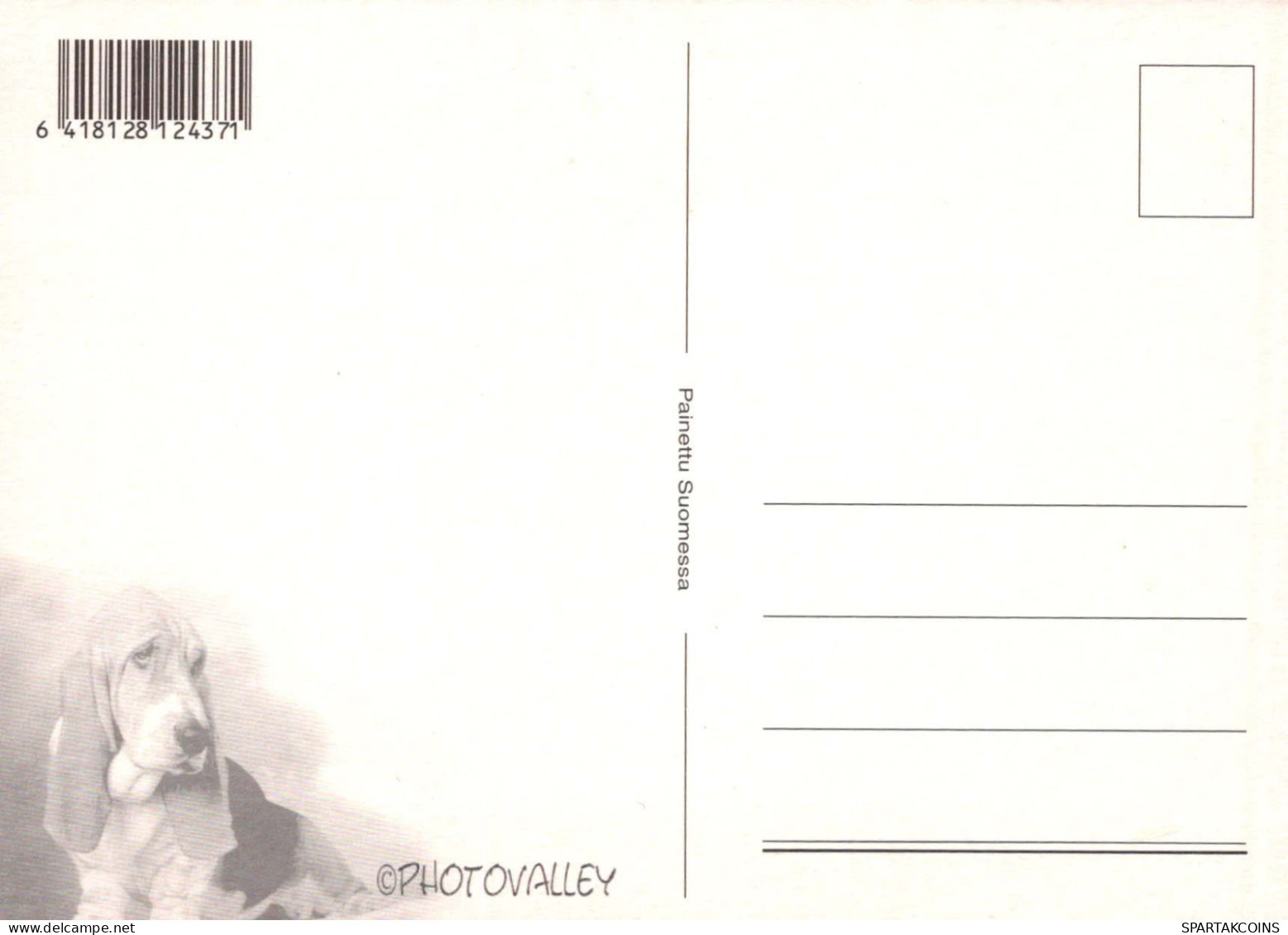DOG Animals Vintage Postcard CPSM #PBQ539.GB - Chiens