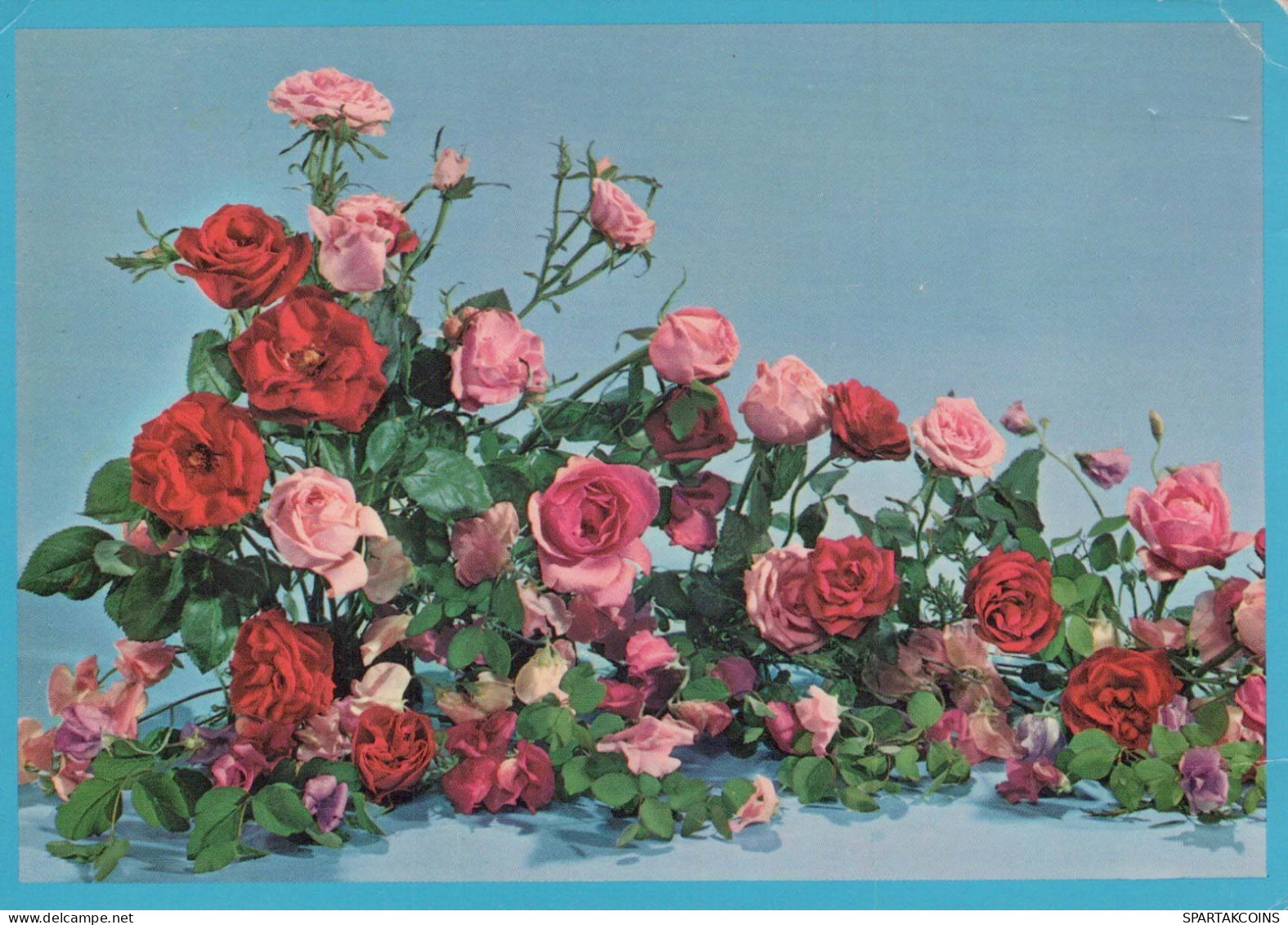 FLOWERS Vintage Postcard CPSM #PAR762.GB - Fleurs