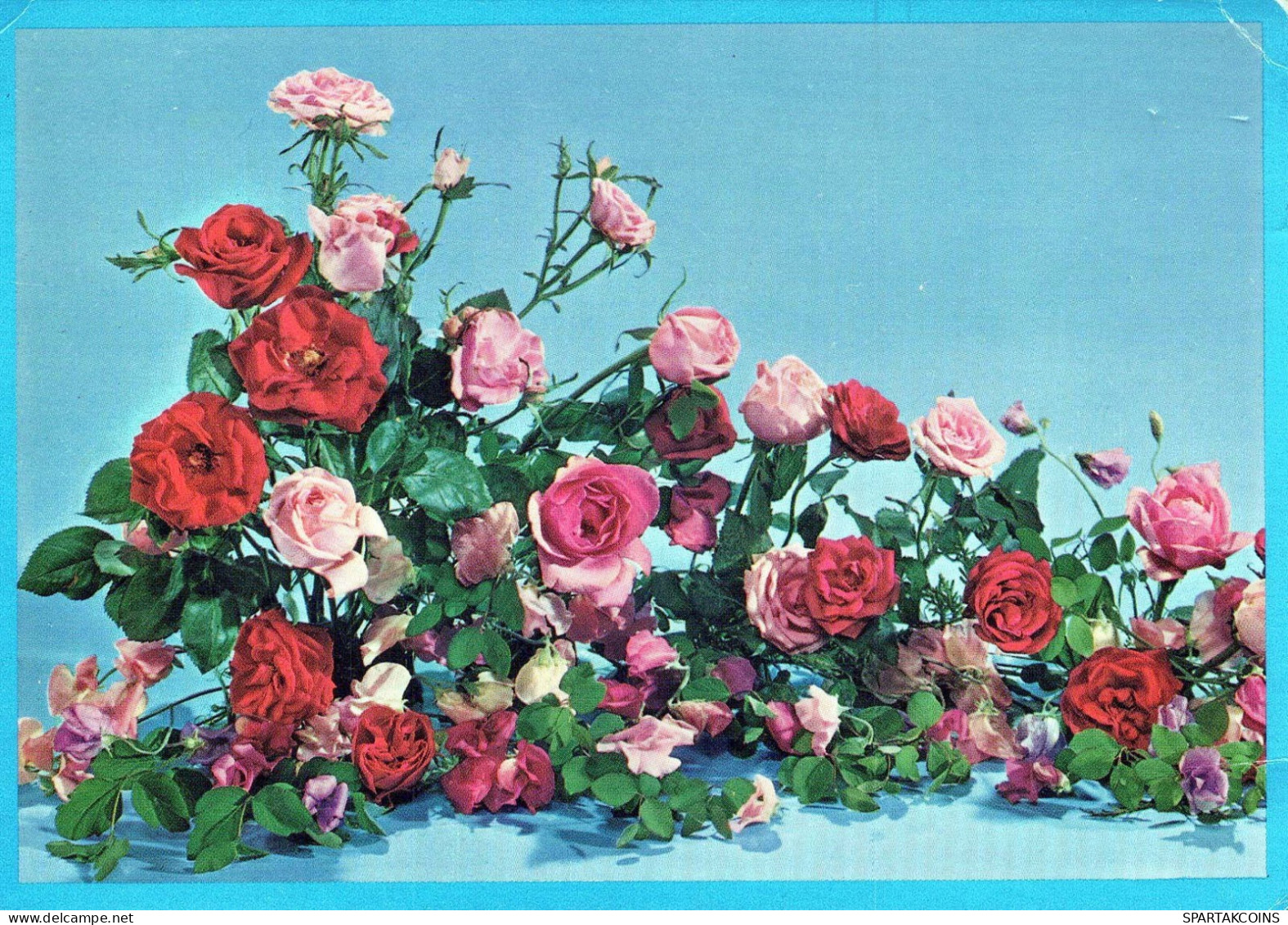 FLOWERS Vintage Postcard CPSM #PAR762.GB - Fleurs