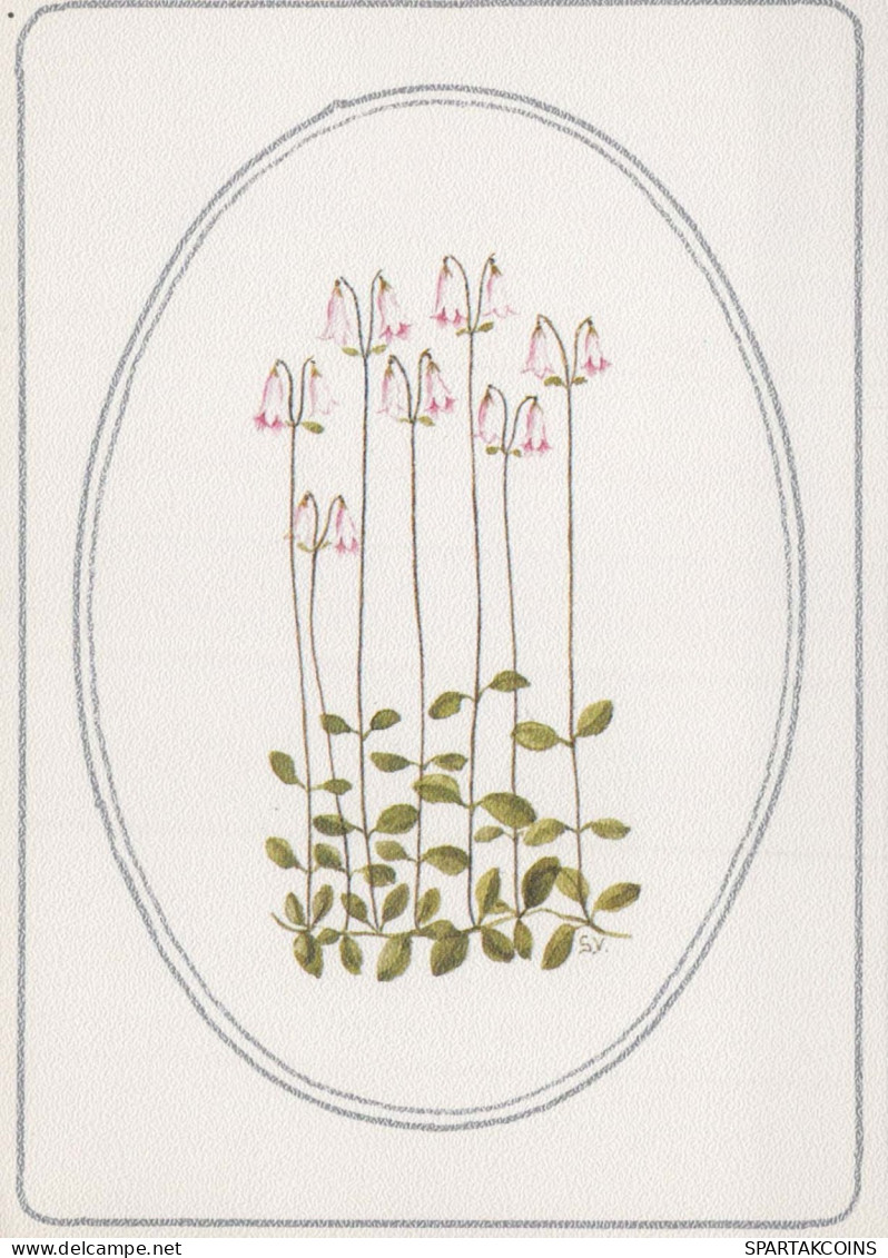 FLOWERS Vintage Postcard CPSM #PAR522.GB - Fleurs