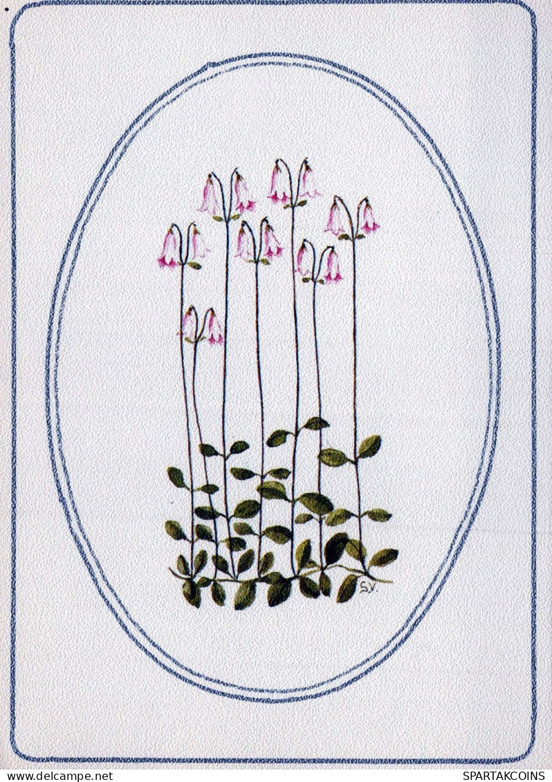 FLOWERS Vintage Postcard CPSM #PAR522.GB - Fleurs