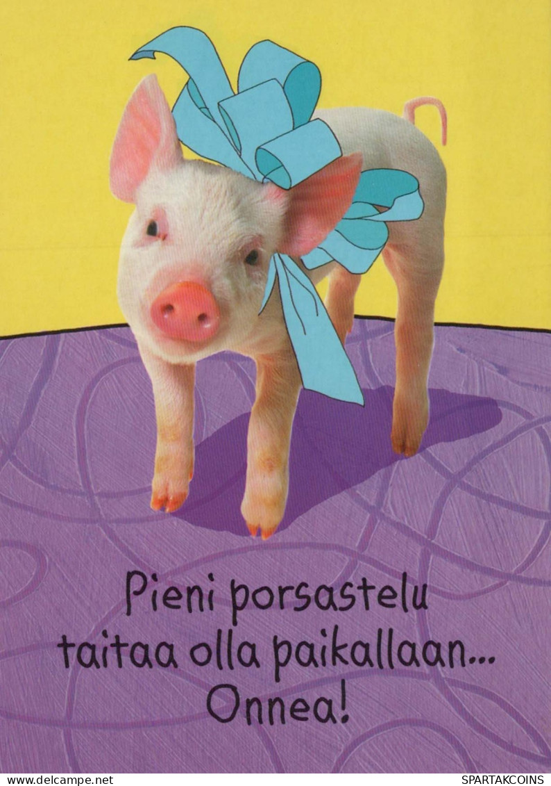 MAIALE Animale Vintage Cartolina CPSM #PBR777.IT - Schweine