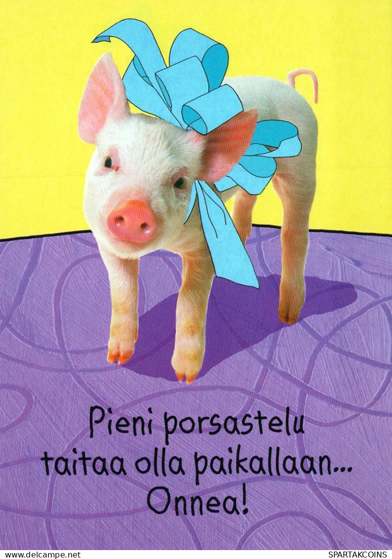 MAIALE Animale Vintage Cartolina CPSM #PBR777.IT - Pigs