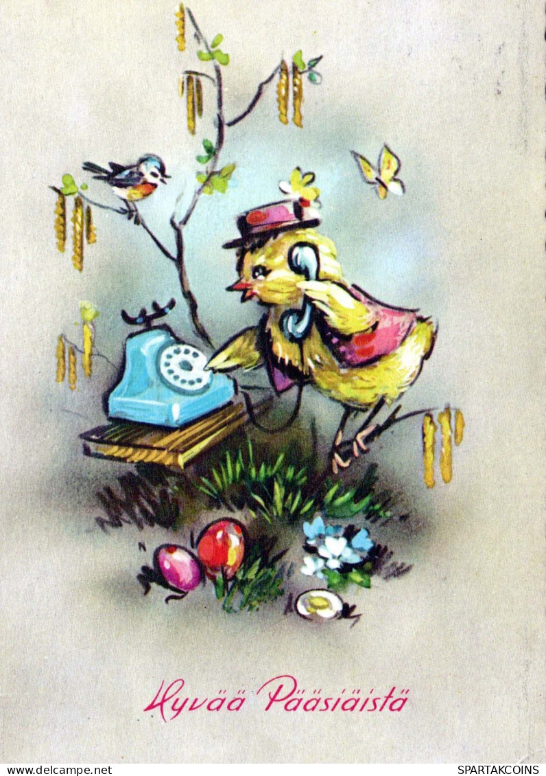 PASQUA POLLO Vintage Cartolina CPSM #PBO952.IT - Pasqua