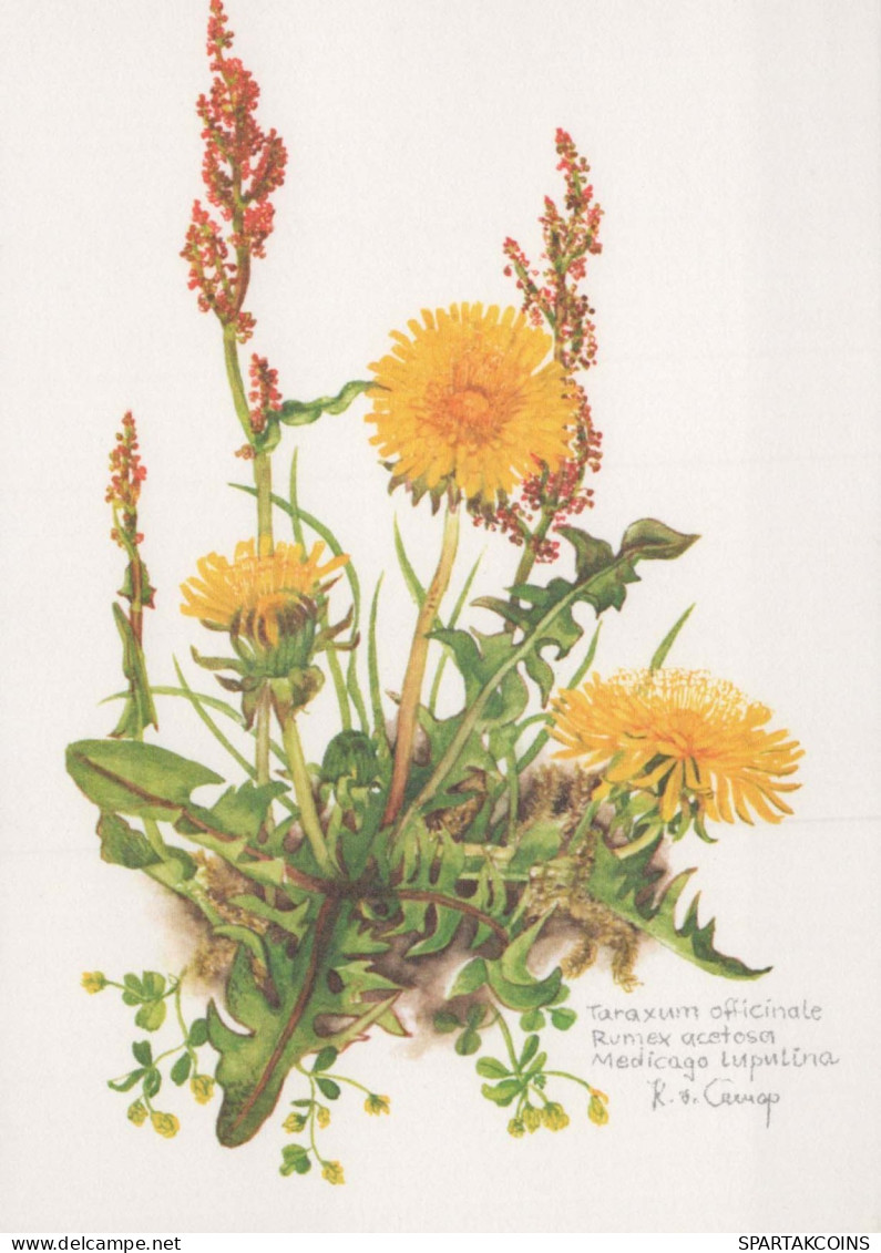 FIORI Vintage Cartolina CPSM #PAR346.IT - Flowers