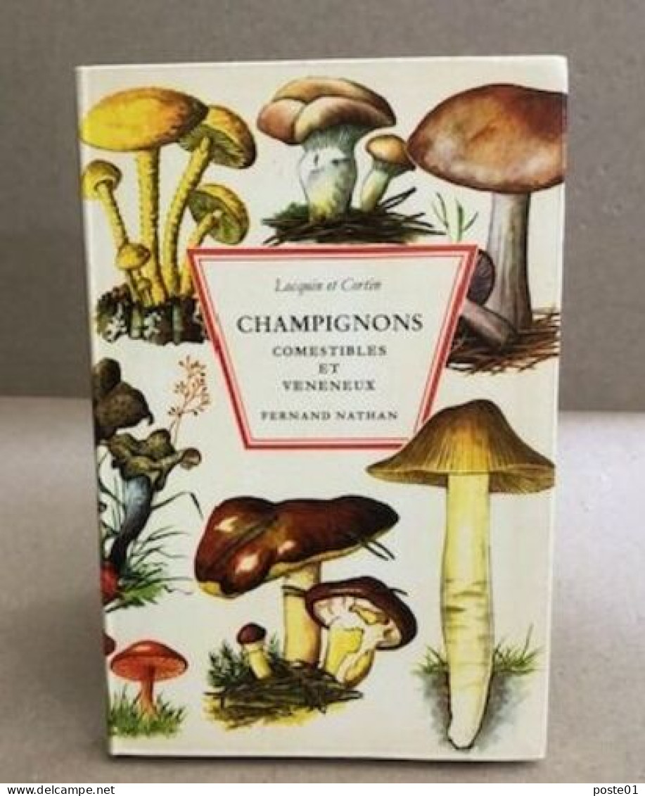 Champignons Comestibles Et Vénéneux / 343 Illustrations En Couleurs - Natuur