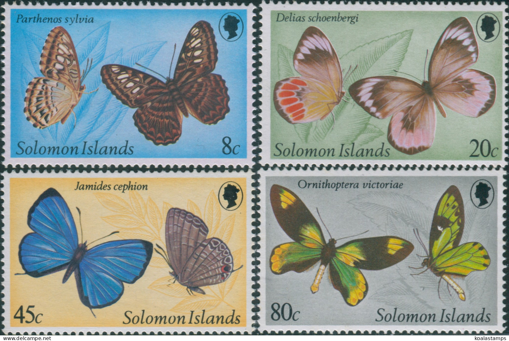 Solomon Islands 1980 SG426-429 Butterflies Set MNH - Islas Salomón (1978-...)
