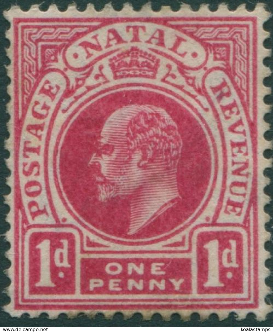 Natal 1902 SG128 1d Red KEVII MLH - Natal (1857-1909)