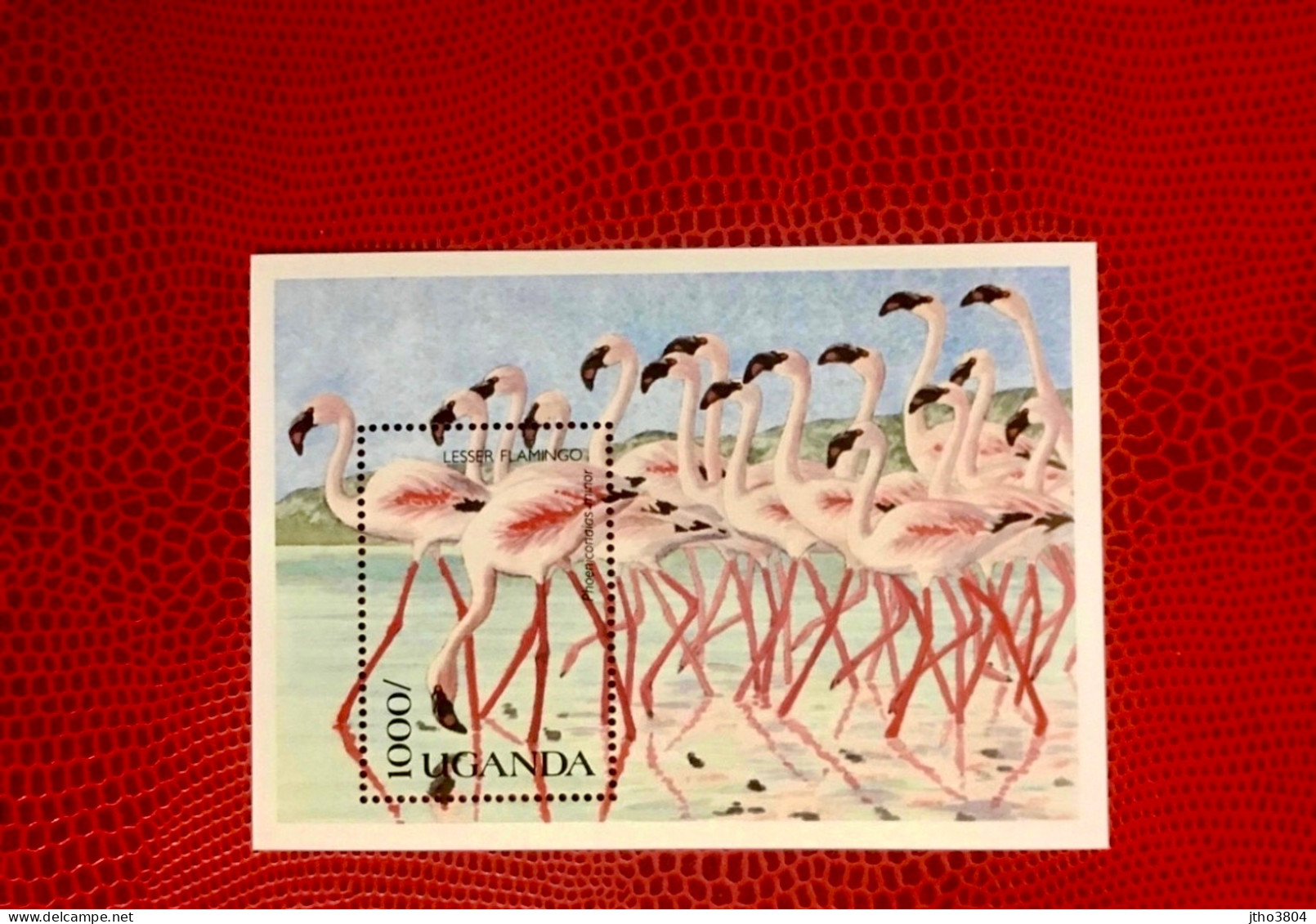 OUGANDA 1990 Bloc 1v Neuf MNH ** Mi Bl 120 Pájaro Bird Pássaro Vogel Ucello Oiseau UGANDA - Flamingos