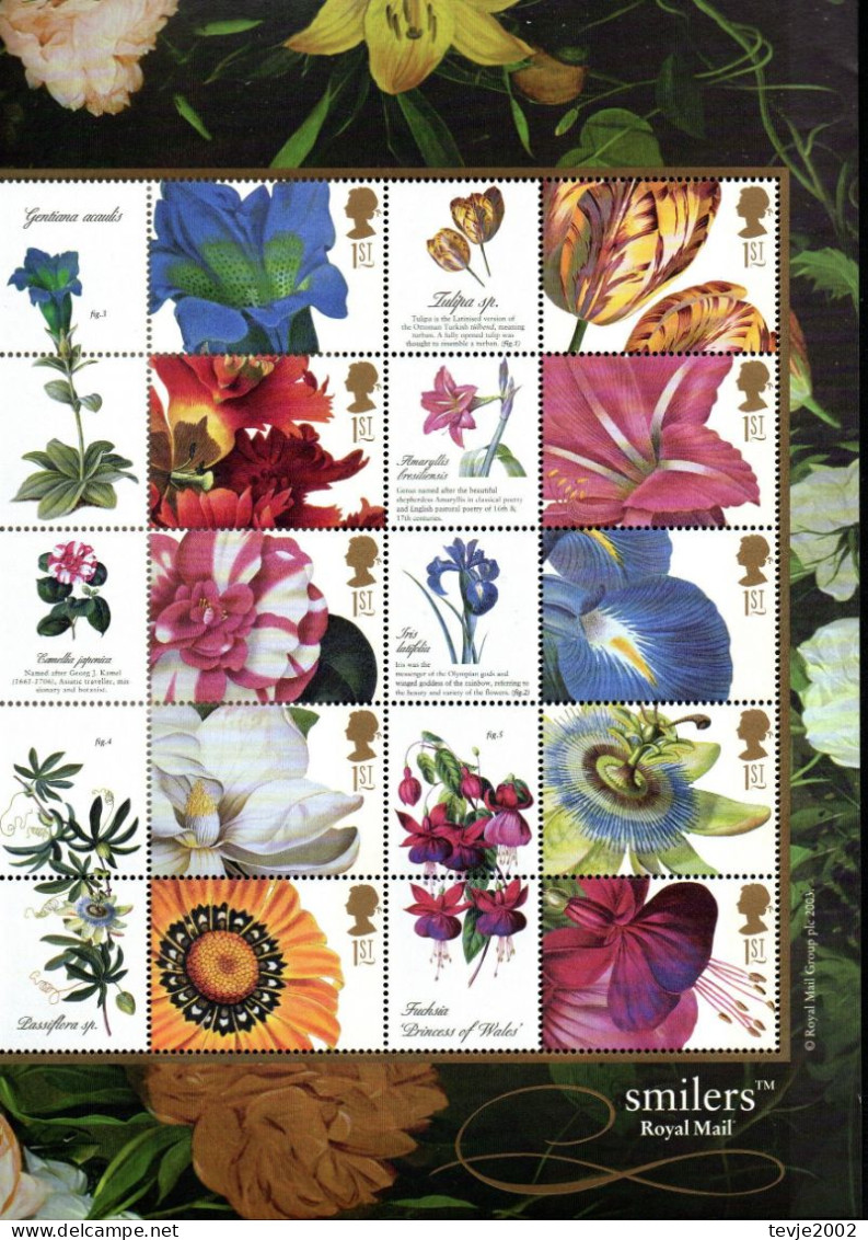 Großbritannien 1997 - Mi.Nr. 1667 - 1676 C Zusammendruckbogen - Postfrisch MNH - Blumen Flowers - Altri & Non Classificati