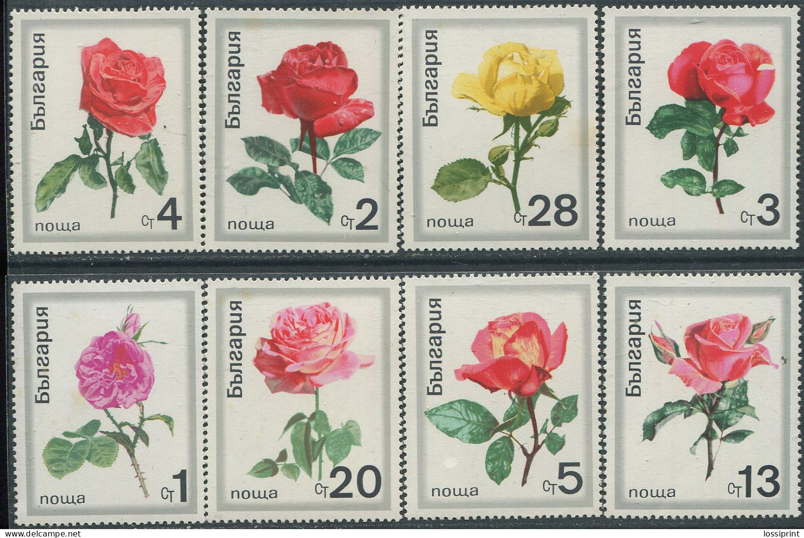 Bulgaria:Unused Stamps Serie Flowers, Roses, 1970, MNH - Rosas