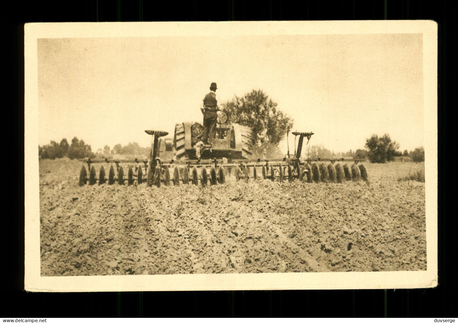 Tunisie Culture Des Oliviers Au Tracteur ( Chambre Mixte De Commerce Et D' Agriculture Du Sud De La Tunisie - Traktoren