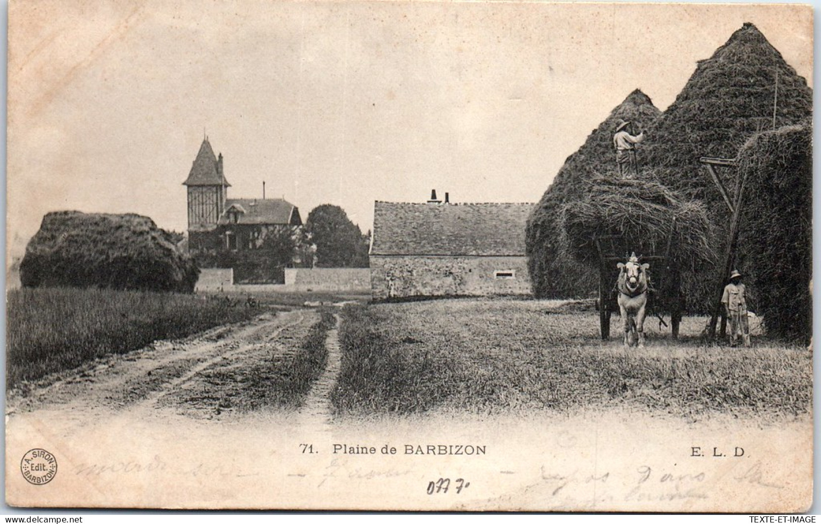 77 BARBIZON - La Plaine, La Moisson  - Barbizon