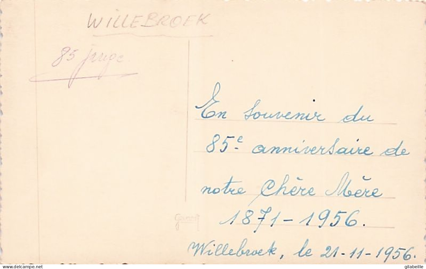 WILLEBROEK - WILLEBROECK -  Carte Photo - Anniversaire  - 85 Jarige  - 25-11-1956 - Willebroek