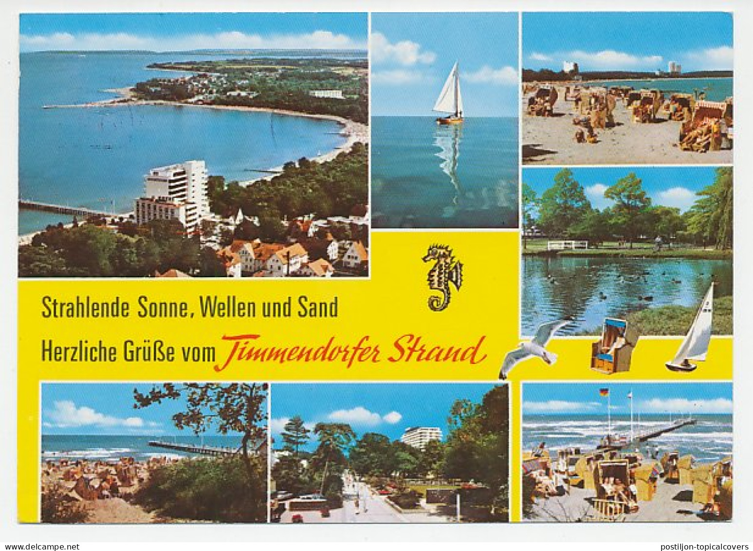 Card / Postmark Germany 1980 Seahorse - Vie Marine