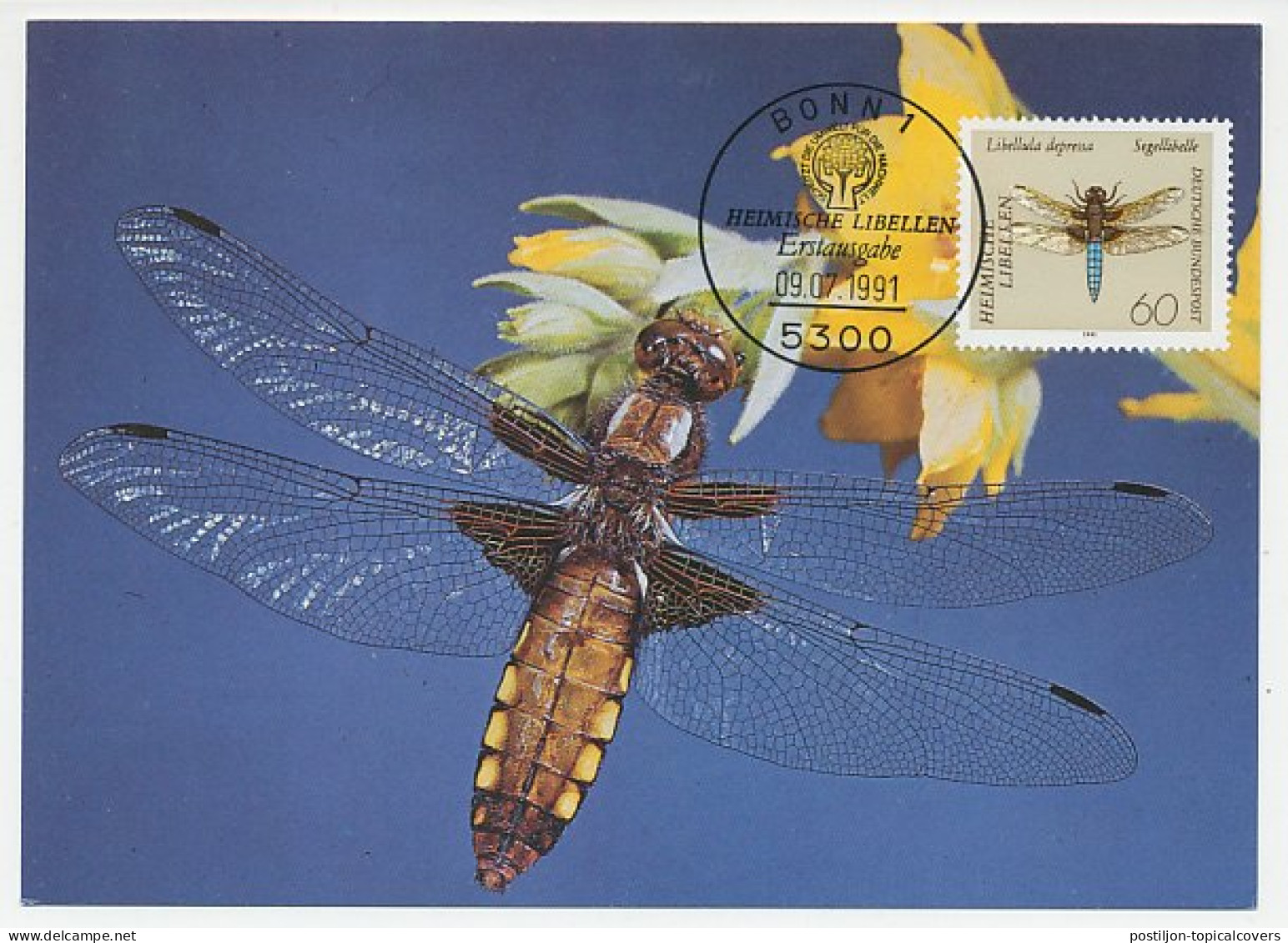 Maximum Card Germany 1991 Dragonfly - Andere & Zonder Classificatie