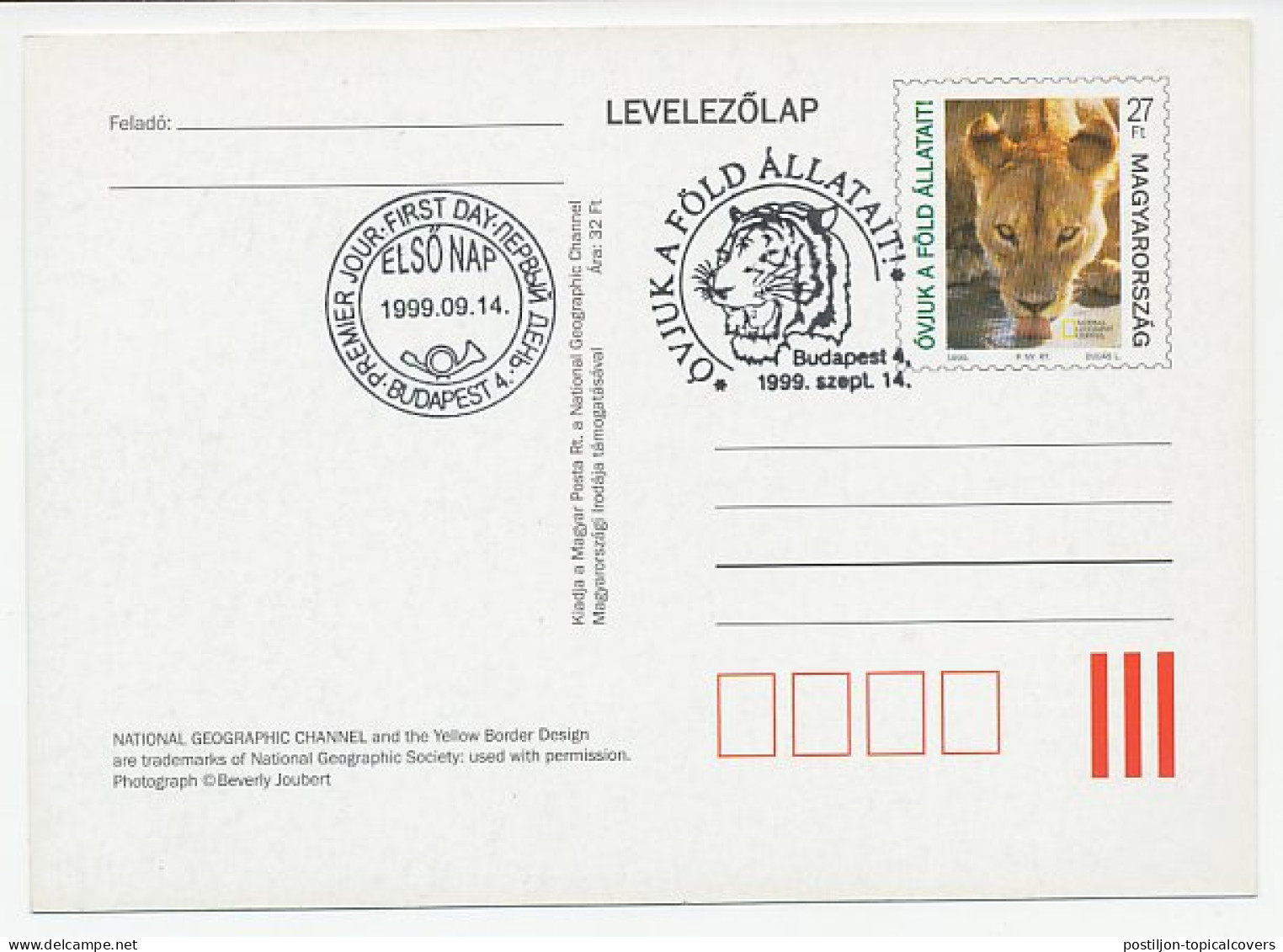 Postal Stationery Hungary 1999 Lion - National Geographic Channel - Sonstige & Ohne Zuordnung
