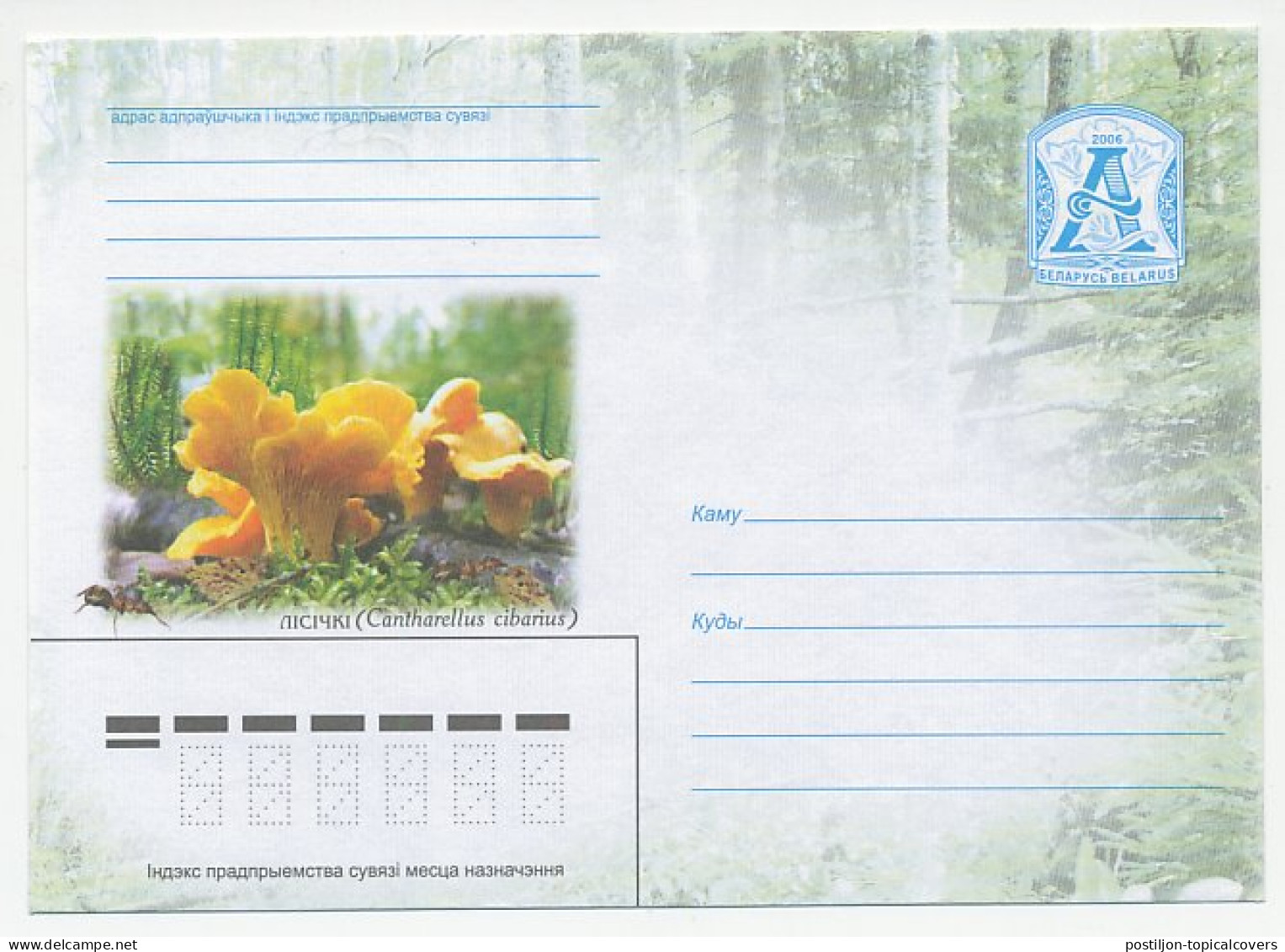 Postal Stationery Belarus 2006 Mushroom - Champignons