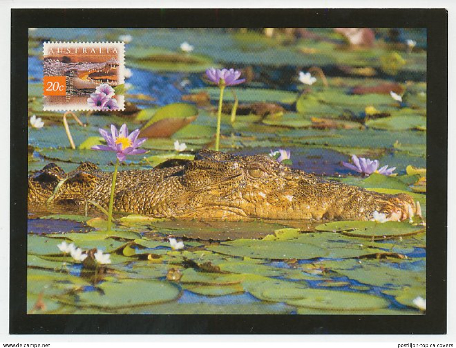 Postal Stationery Australia Crocodile - Altri & Non Classificati