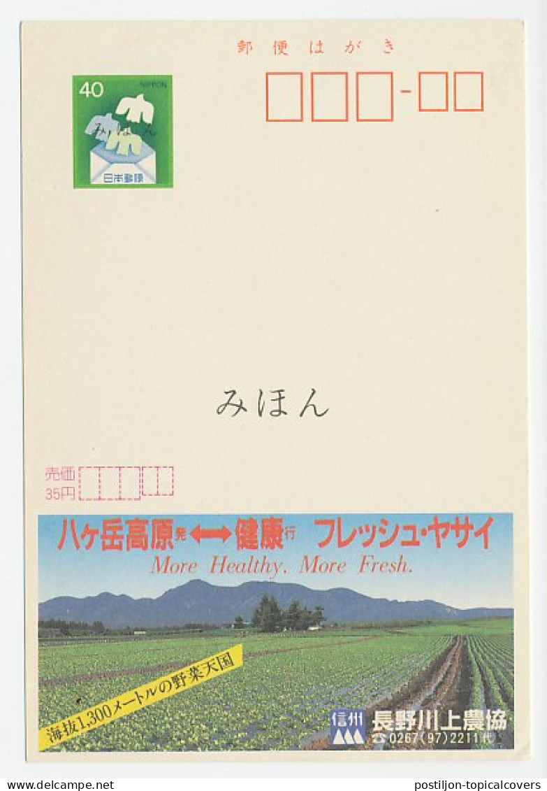 Specimen - Postal Stationery Japan 1981 Agriculture Cooperative - Landwirtschaft
