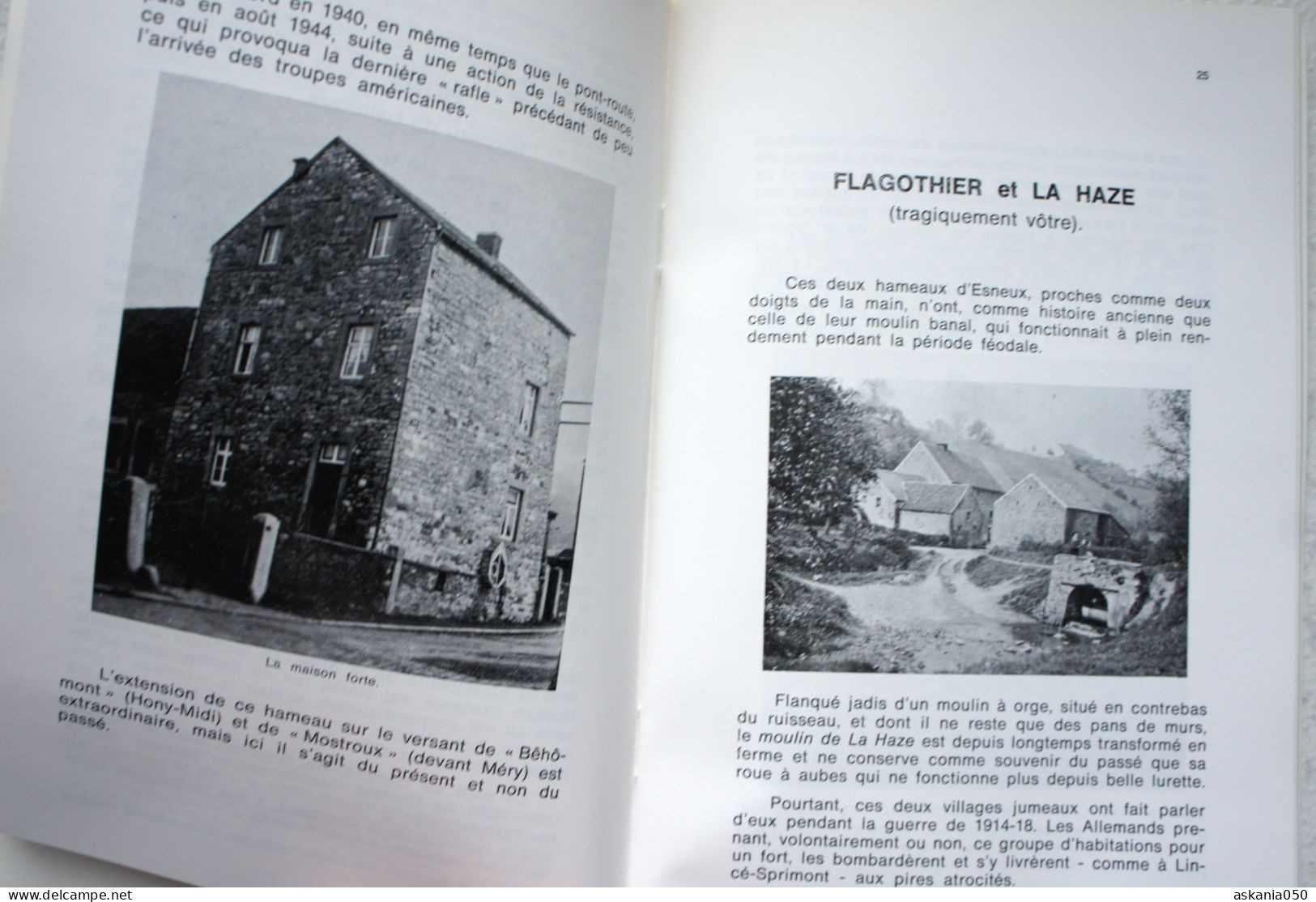 Histoire Hameaux ESNEUX Han Avister La Gombe Montfort Fontin Hony Amostrenne Fechereux Lhonneux Le Champay - België